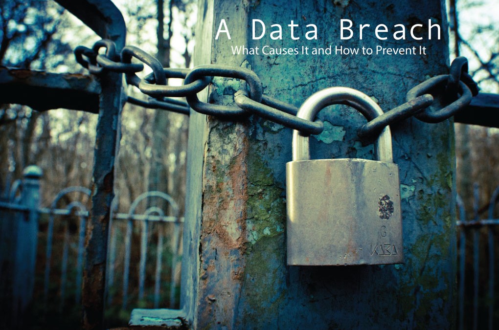 A Data Breach: What is It and How to Prevent It?